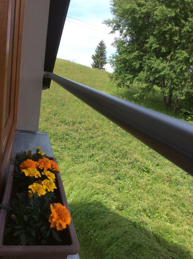 Apartman Odolov Jestrebi Hory Male Svatonovice Eksteriør billede